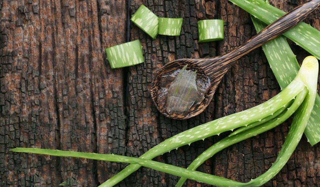 Menopause Eczema Causes, Treatments, Prevention, Home Remedies