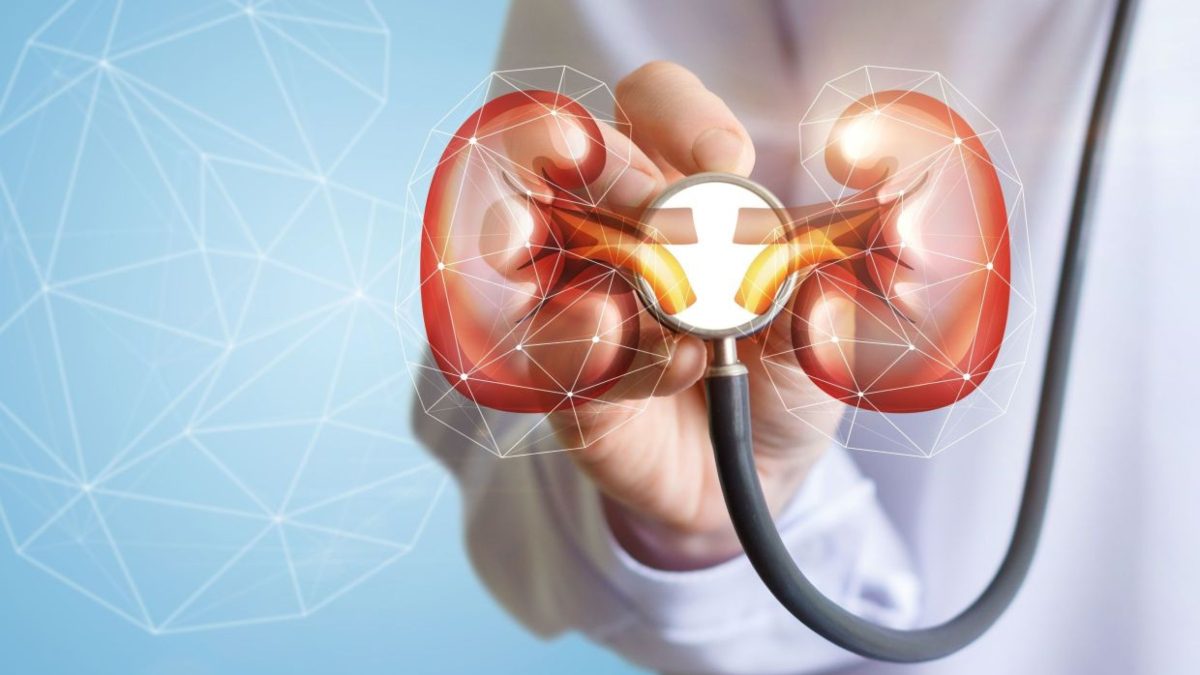 Kidney Failure: Causes, Types, Symptoms, Diagnosis and Treatment